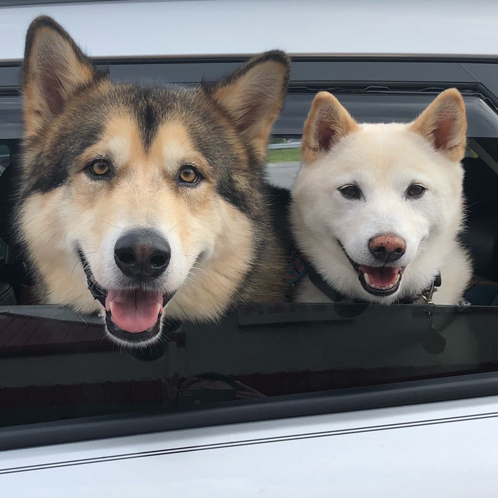 Meet your Posher, Mea